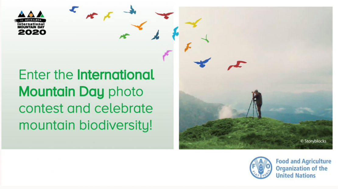 Photo contest dedicated to the International Mountain Day Photo contest dedicated to the International Mountain Day