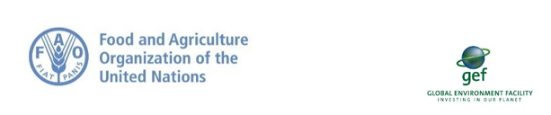 Внедрение национального механизма биобезопасности в Кыргызской Республике в соответствии с Картахенским протоколом по биобезопасности 