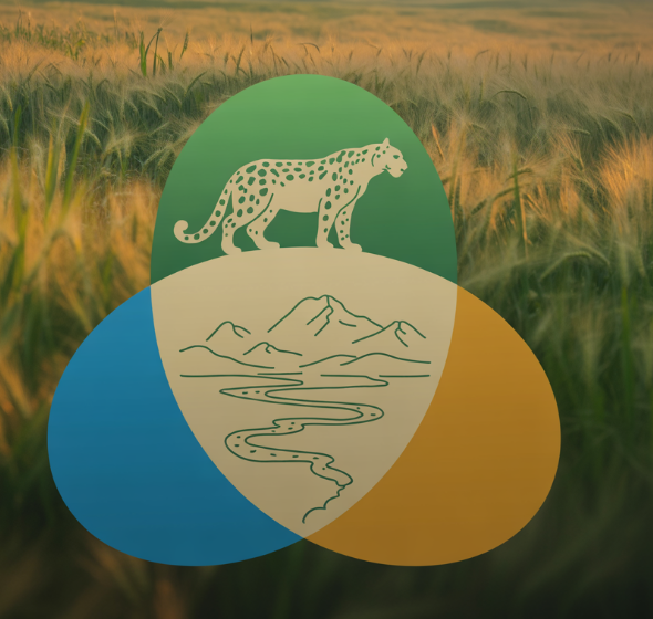 One Health for Pandemic Prevention, Food Systems Resilience, and Ecosystem Health in Central Asia (Phase 1)