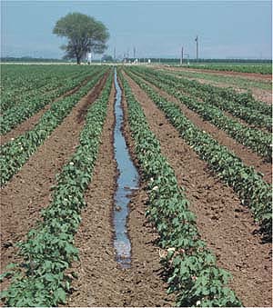 Projects competition on the use of water-saving technologies in the agriculture and horticulture