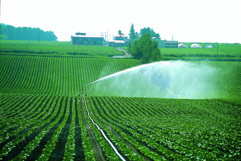 Оценка экосистемных услуг для улучшения управления водными ресурсами в сельском хозяйстве в Казахстане
