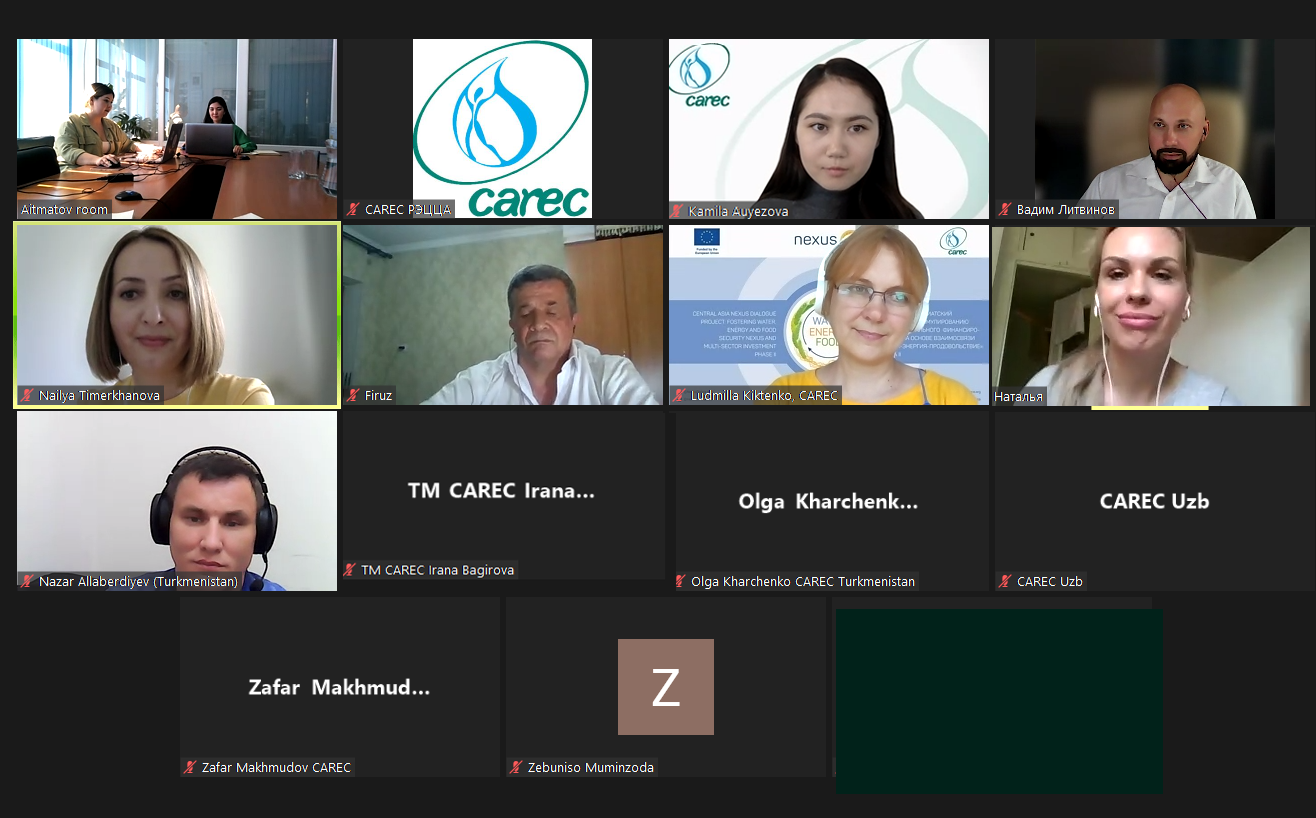 The video conference on discussing stakeholders in the climate action transparency