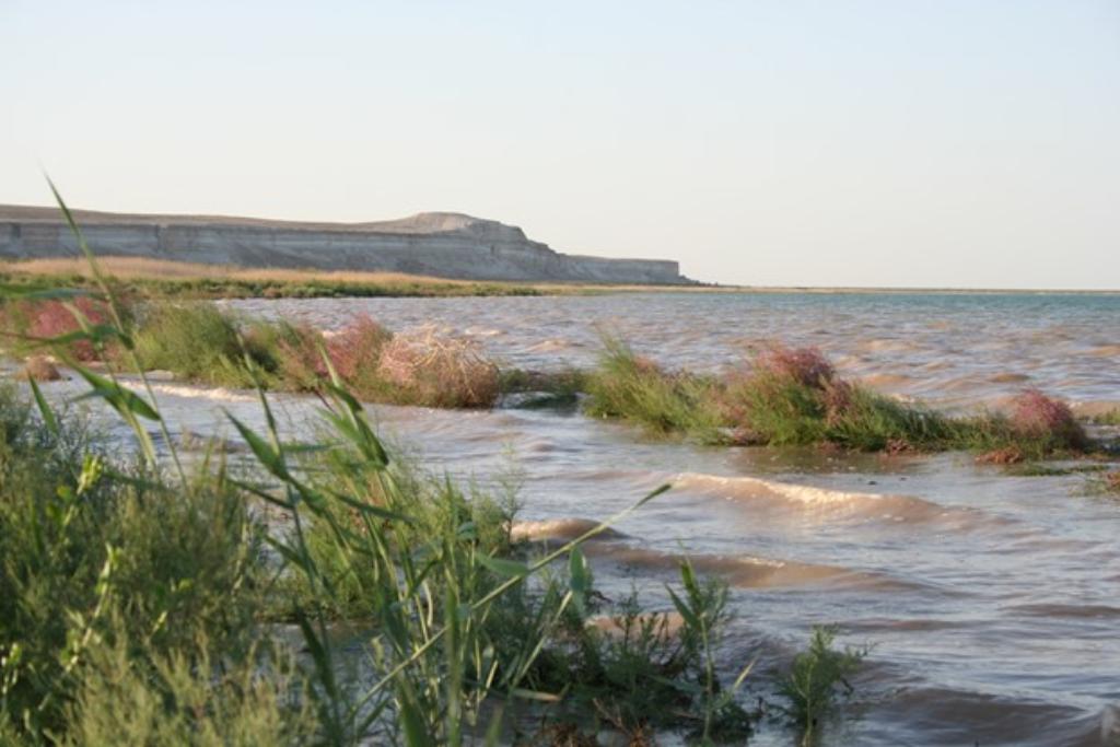 Всемирный день водно-болотных угодий в Юбилей Рамсарской Конвенции