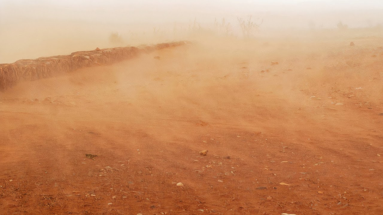 Борьба с песчаными и пыльными бурями: трехуровневая стратегия
