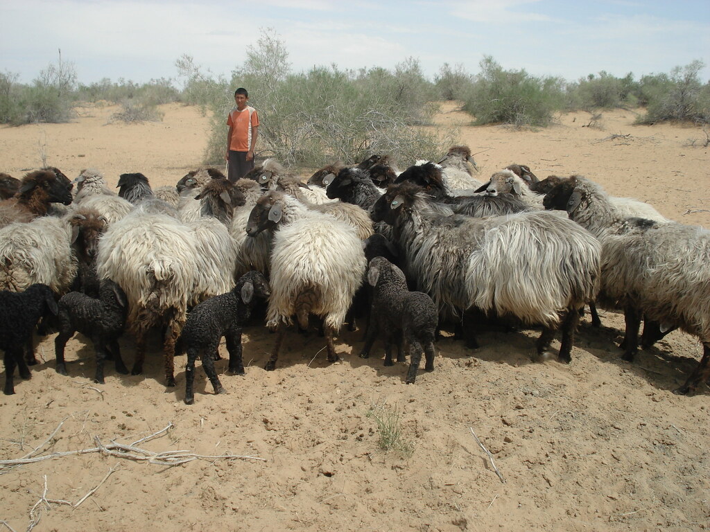 Building Climate Resilience through Strengthened Response  to Disasters in Uzbekistan