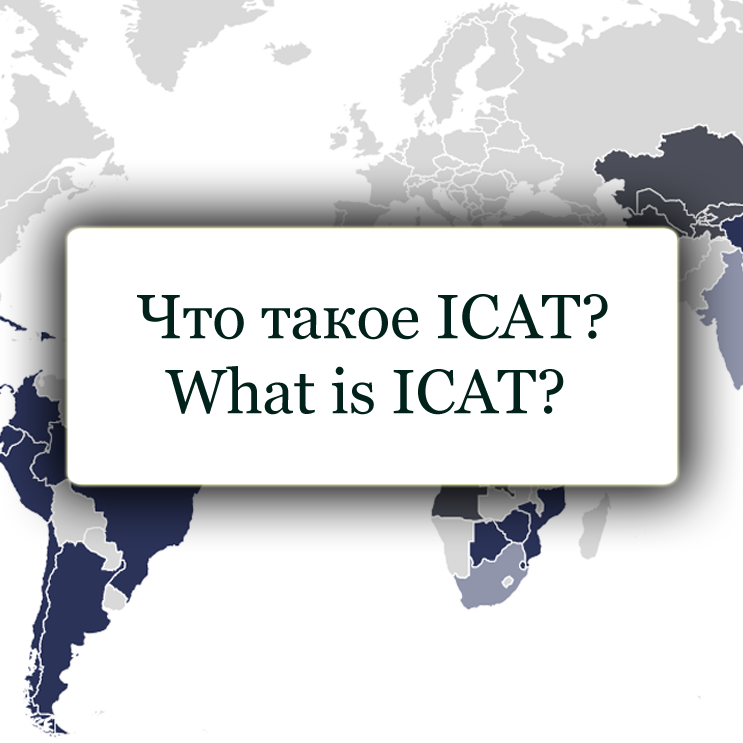Что такое ICAT? Что такое ICAT?