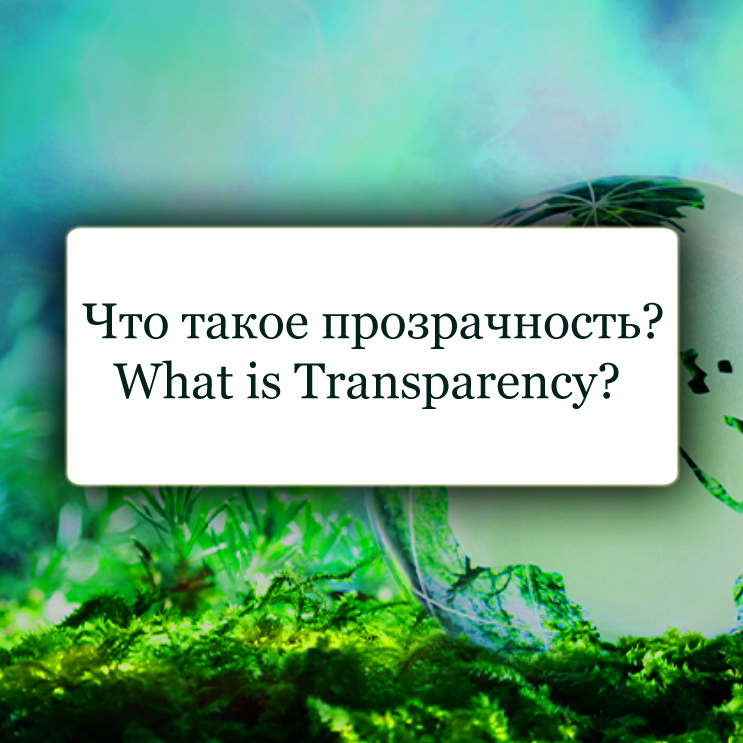  Что такое прозрачность климатических действий и почему она важна?