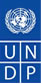 United Nations Development Program