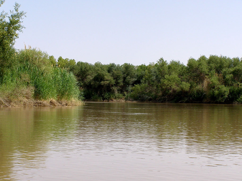 Mainstreaming sustainable forest management in Turkmenistan