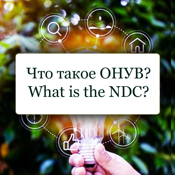 What are NDCs? What are NDCs?