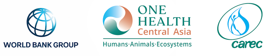 One Health for Pandemic Prevention, Food Systems Resilience, and Ecosystem Health in Central Asia (Phase 1)