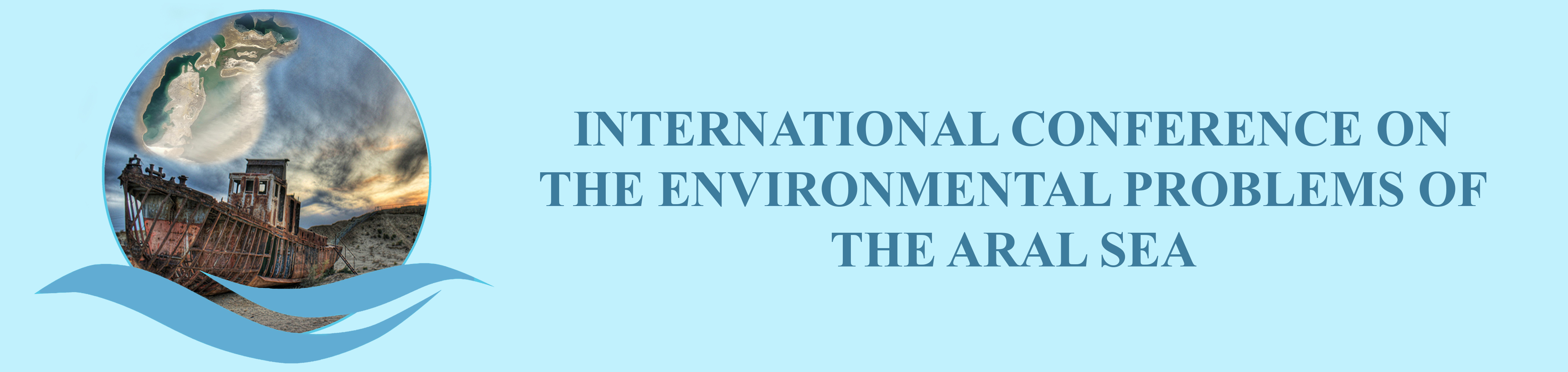 Results of the Aral conference