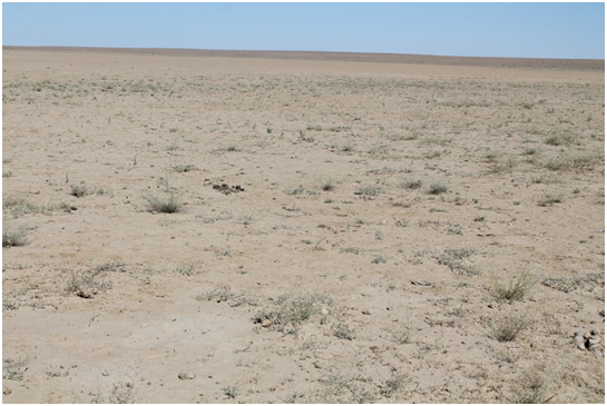 Капар Усен: «Засуха – реальная угроза будущему»