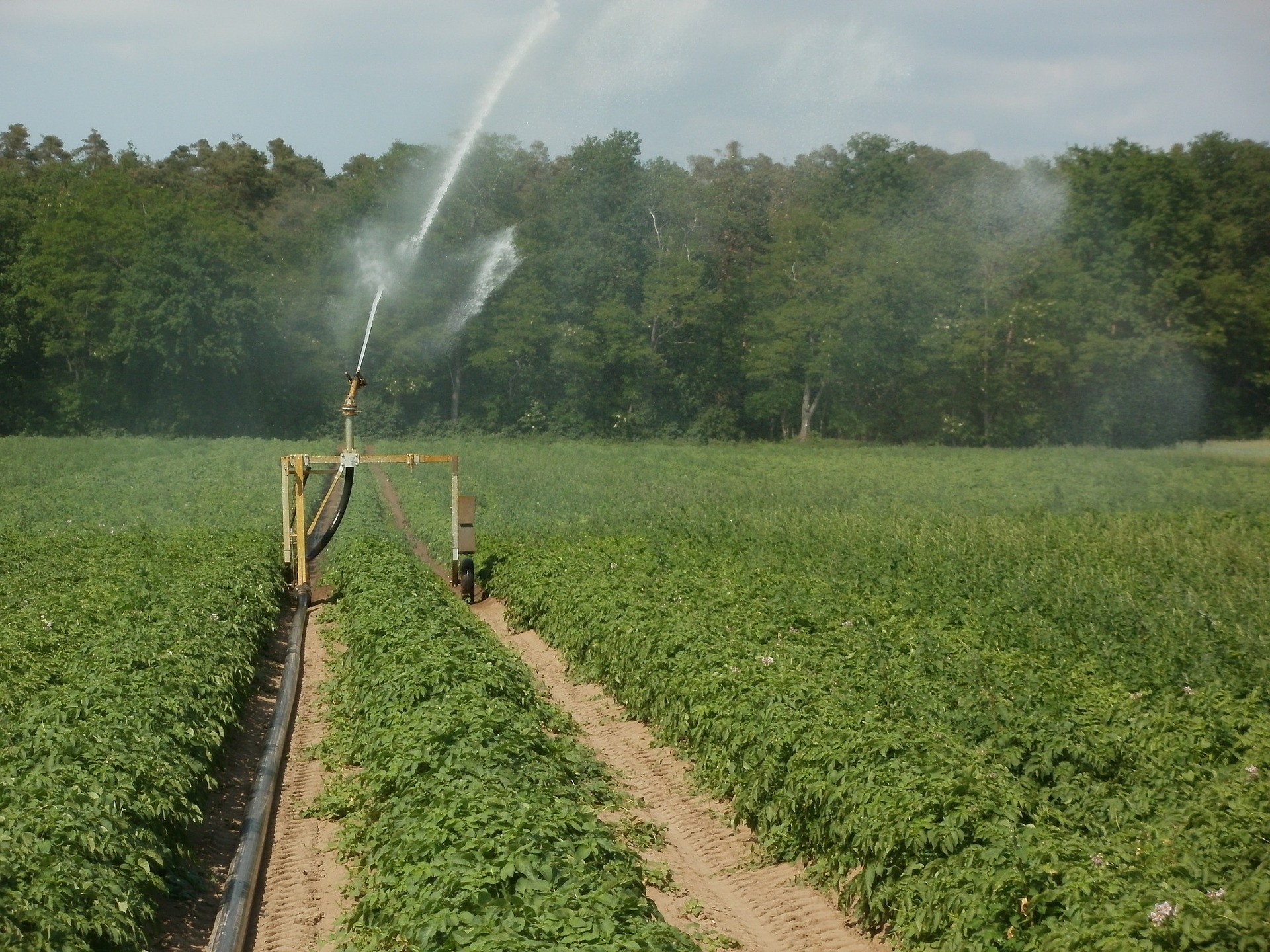 The first public hearings on the law "On Melioration and Irrigation" were held in Tajikistan