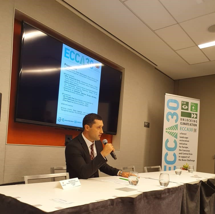 CAREC Executive Director took part at ECCA30 in New York CAREC Executive Director took part at ECCA30 in New York