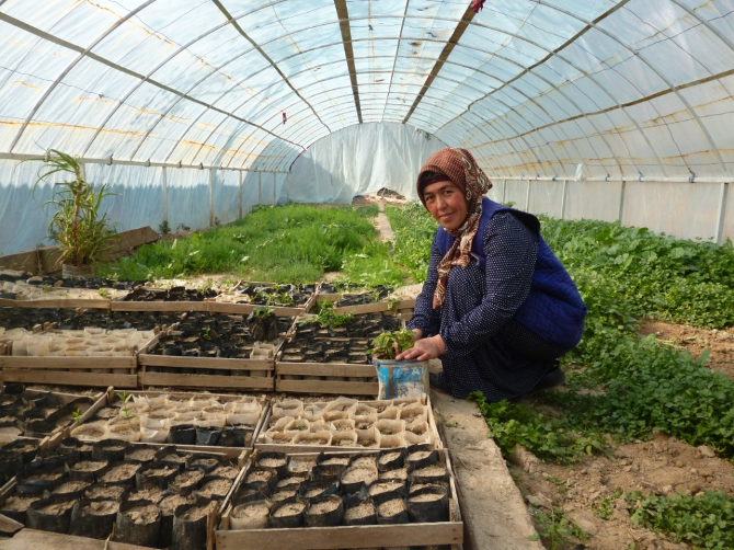 The results of the Central Asian Local Adaptation Technologies and Practices contest The results of the Central Asian Local Adaptation Technologies and Practices contest