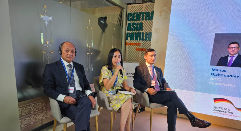 How to Boost Climate Financing in Central Asia? How to Boost Climate Financing in Central Asia?