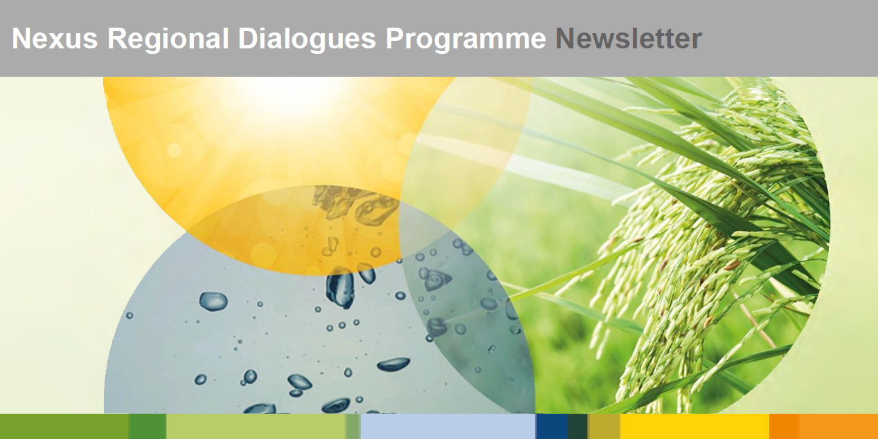 Новостной бюллетень Нексус (выпуск №9)