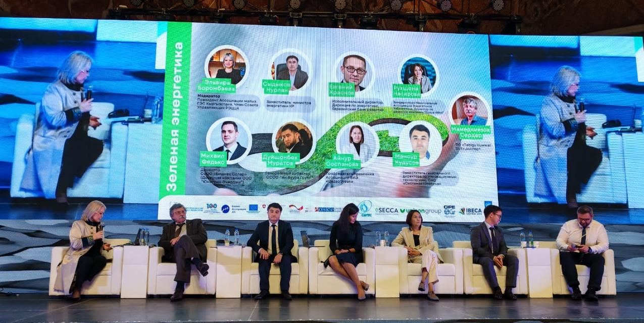 Повысить зеленый градус в странах Центральной Азии: ВИЭ, углеродная нейтральность, региональный опыт, перспективы