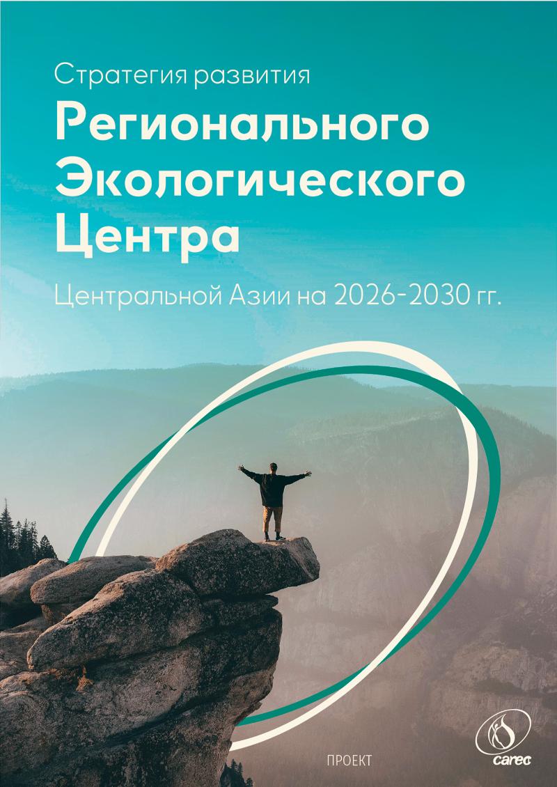 Стратегия развития РЭЦЦА на 2026-2030 гг