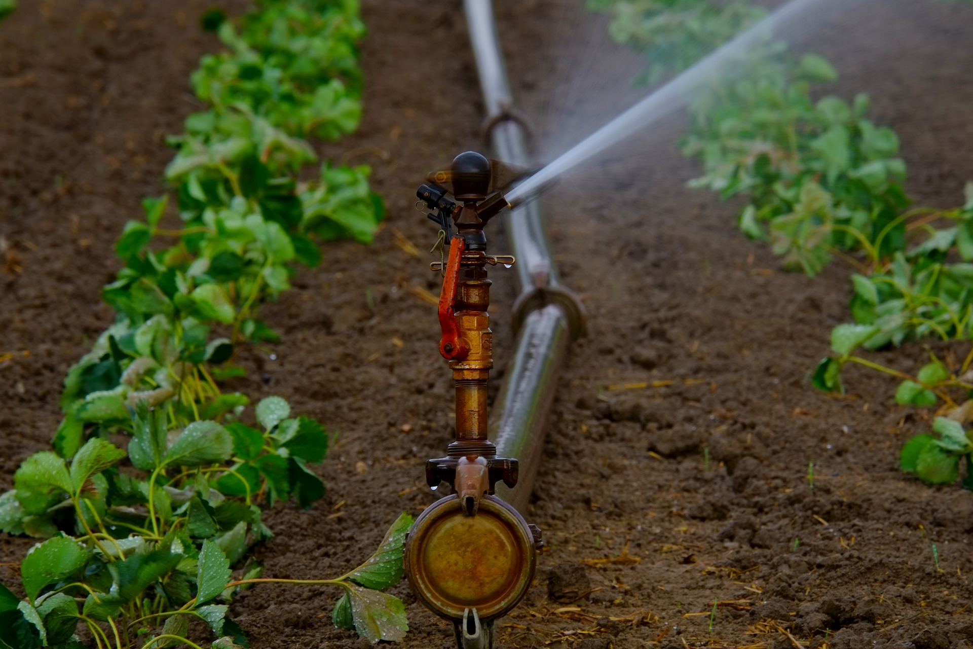 Water governance and agricultural development in Central Asia will be discussed in Tashkent Water governance and agricultural development in Central Asia will be discussed in Tashkent