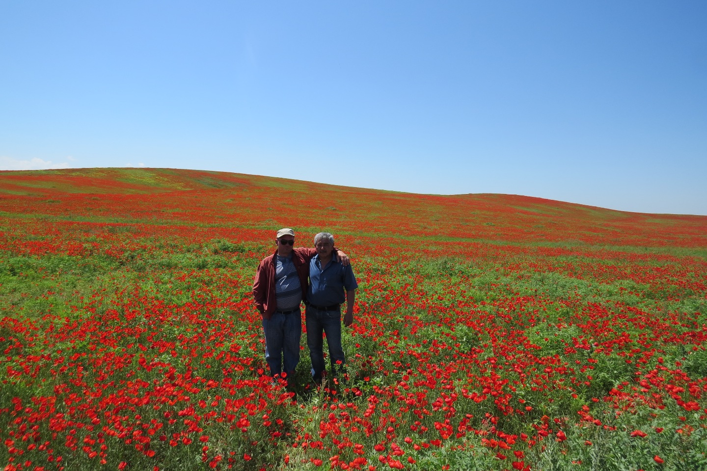 Support towards local initiatives in the environmental governance and water resources management in Central Asia